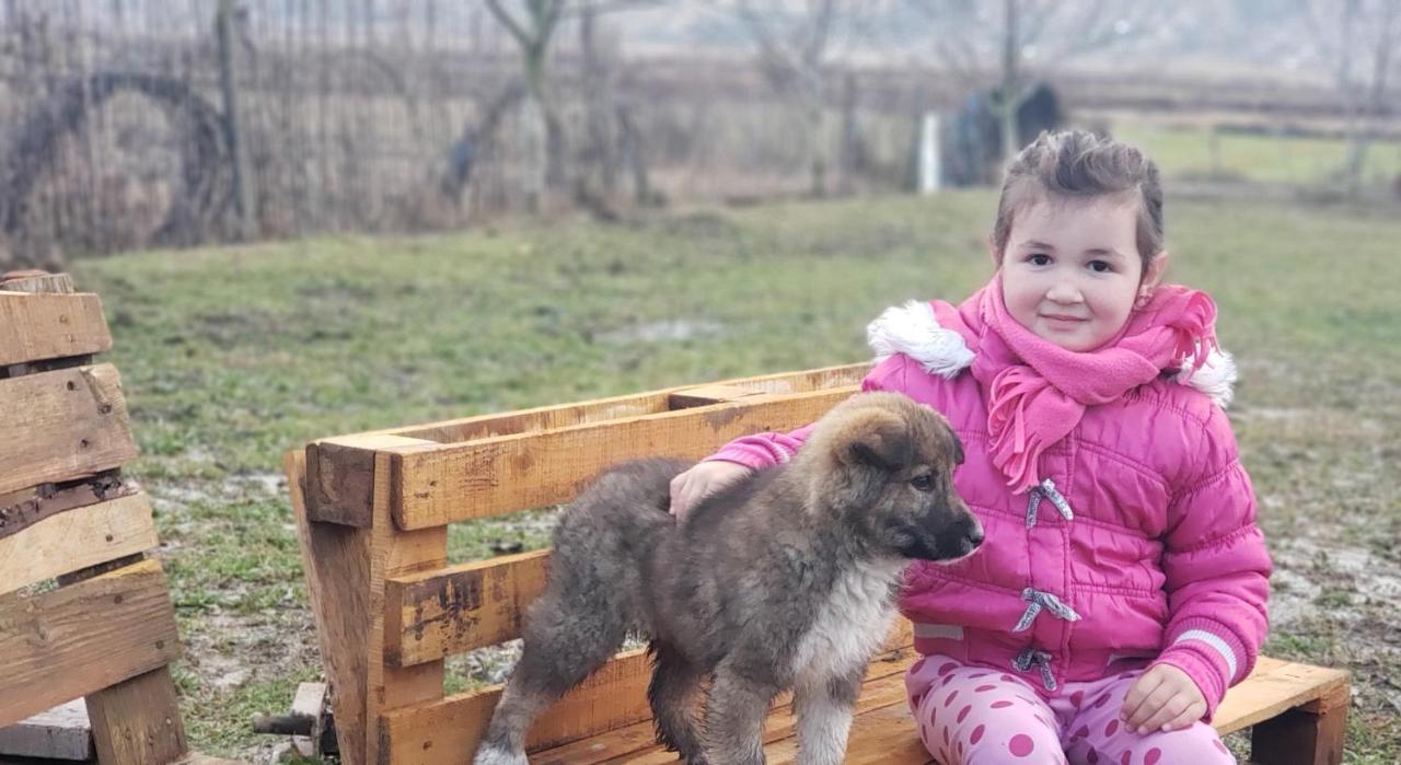 Life On The Farm Nepravishte