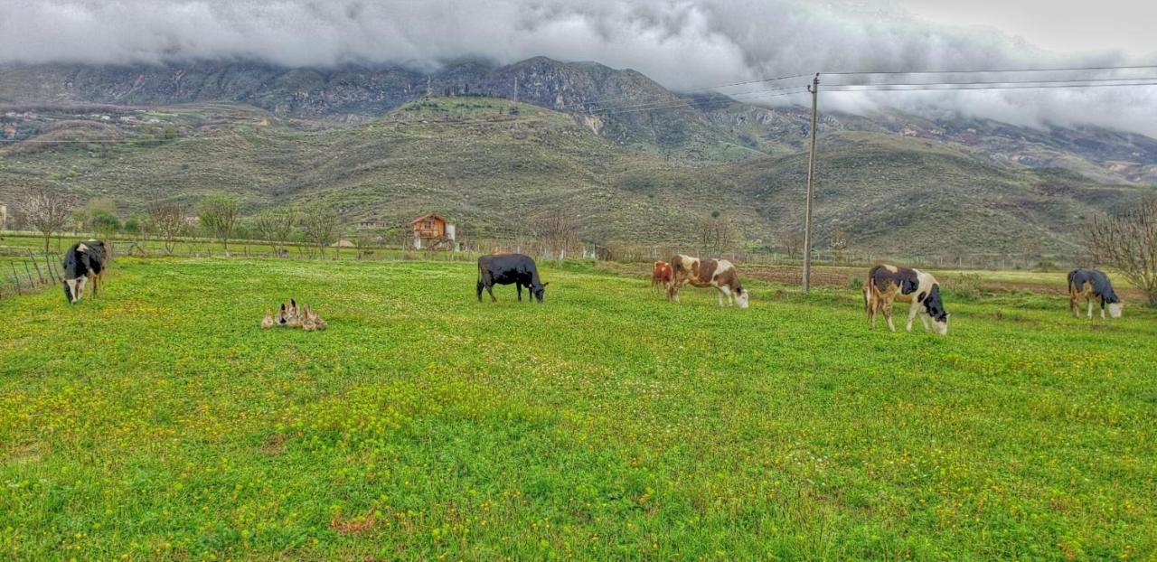 Life On The Farm Kemping *