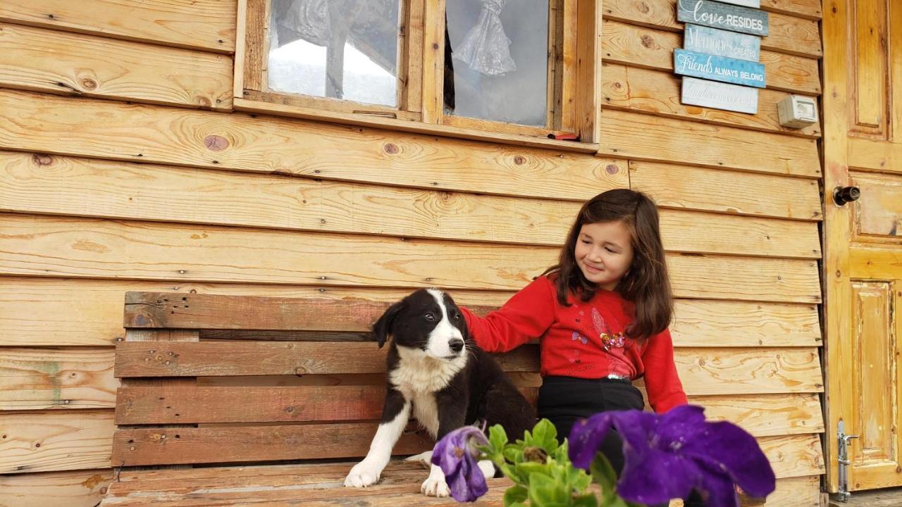 Life On The Farm *