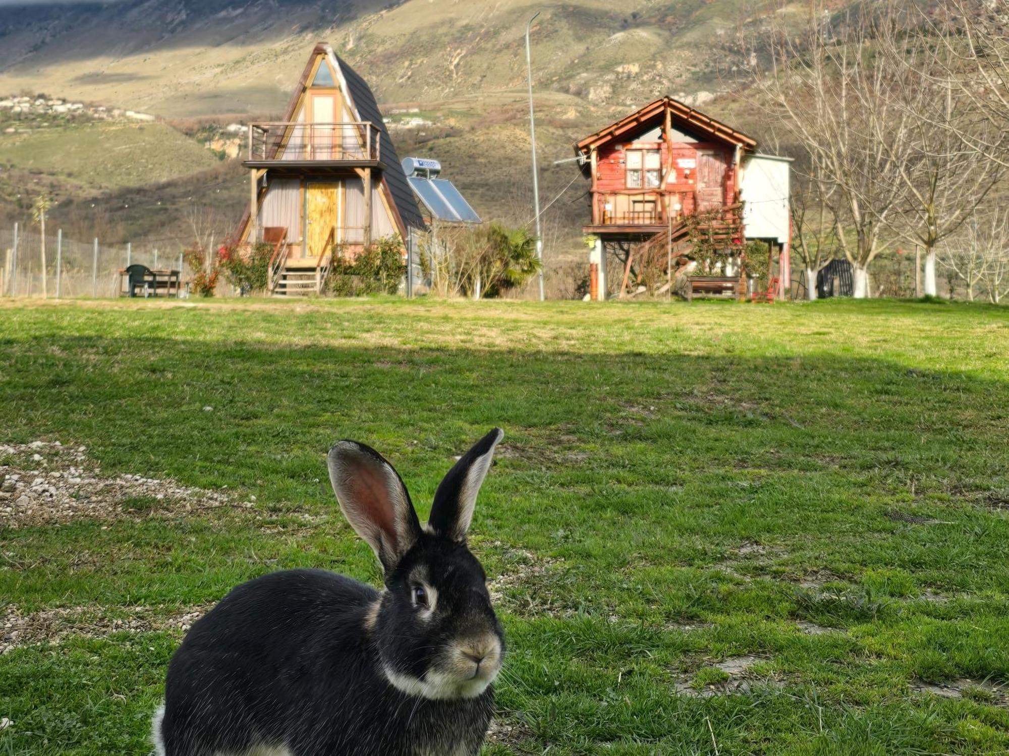 Kemping Life On The Farm *