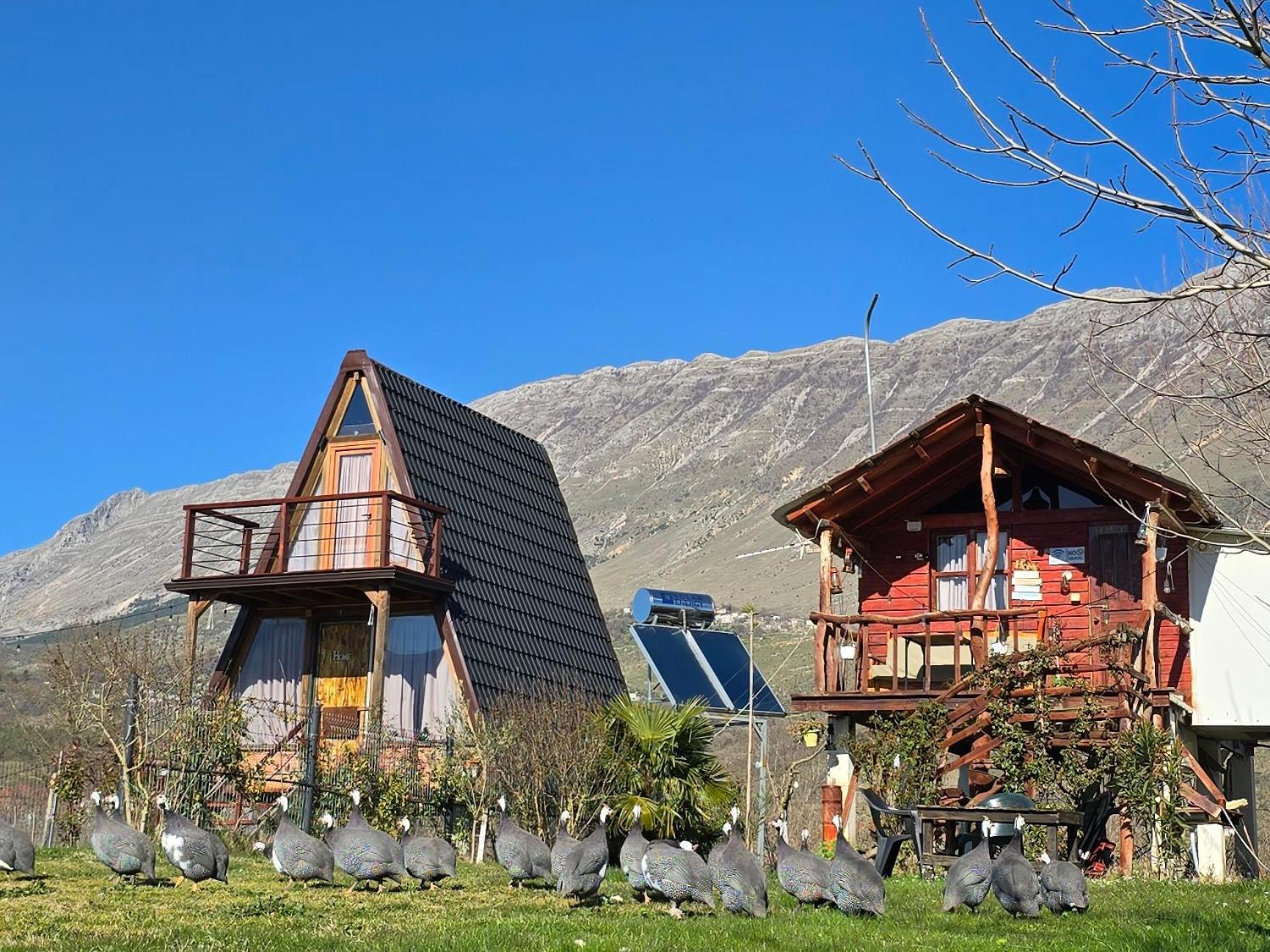Parque de Campismo Life On The Farm *